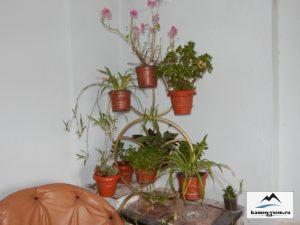 Подставки для цветов