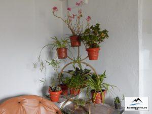 Подставки для цветов