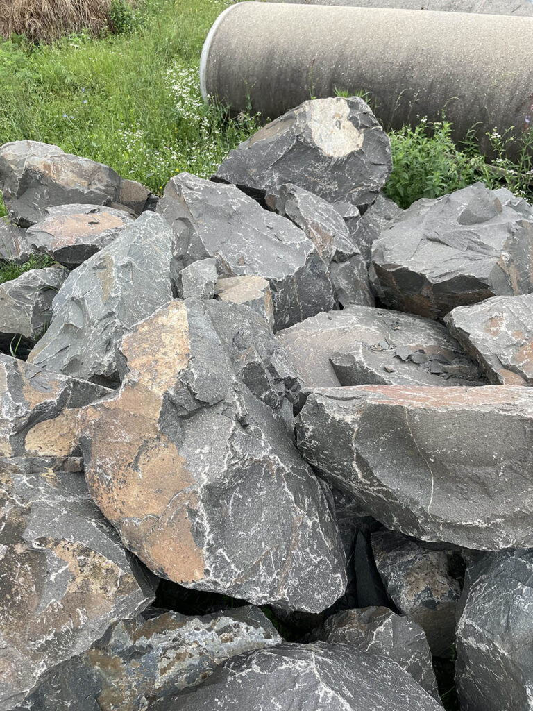 Скальник мрамор рябой